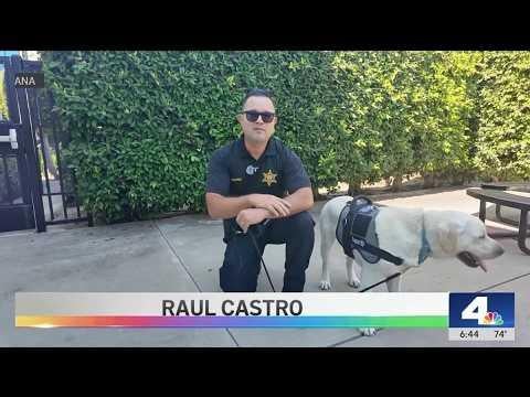 Meet WAGS: Orange County Probation Introduces New Support K9 Program