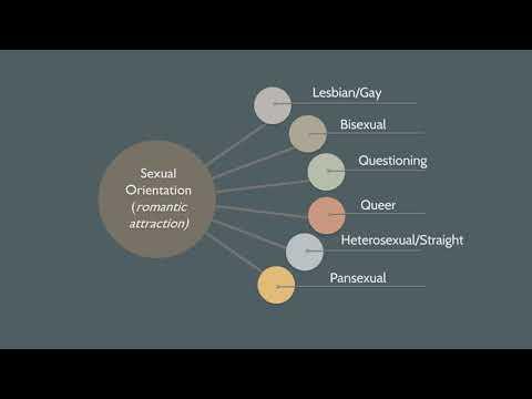 HIDDEN IN PLAIN SIGHT: WORKING WITH LESBIAN, GAY, BISEXUAL, QUESTIONING, GENDER NONCONFORMING AND TRANSGENDER (LGBQ/GNCT) JUSTICE-INVOLVED YOUTH
