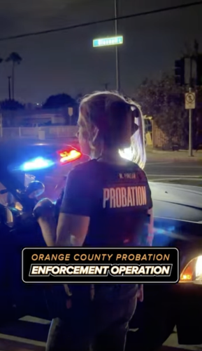 Screenshot from Orange County Probation video