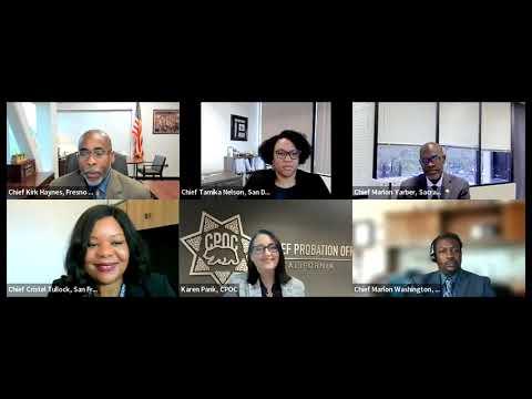 Webinar: Diversity Matters – Strengthening the Probation Profession for All 