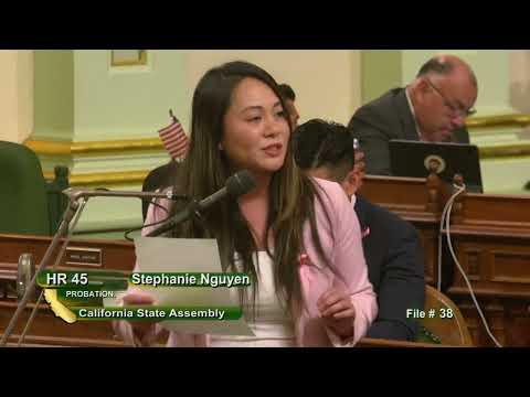 Assembly Member Stephanie Nguyen Floor Speech for Probation Services Week 2023